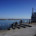 3272-1.jpg