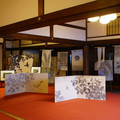 3281-2.jpg