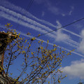 3286-2.jpg