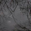 3287-1.jpg