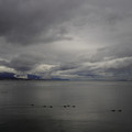 3288-2.jpg