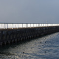 3291-2.jpg