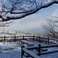 3292-1.jpg
