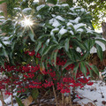 3292-2.jpg