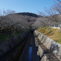 3295-1.jpg