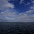 3295-3.jpg