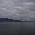 3296-1.jpg