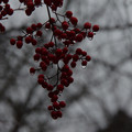 3303-2.jpg