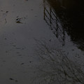 3317-2.jpg