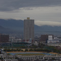 3317-3.jpg