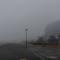 3318-1.jpg
