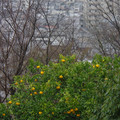 3319-1.jpg