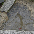3319-2.jpg