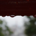 3319-3.jpg