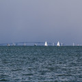 3336-2.jpg