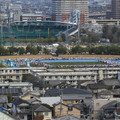 3337-1.jpg