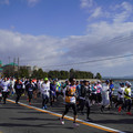 3337-2.jpg