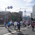 3337-3.jpg