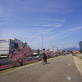 3341-3.jpg