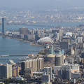 3342-1.jpg