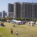 3343-1.jpg