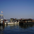 3343-2.jpg