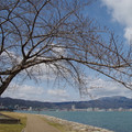3349-2.jpg