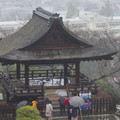 3352-2.jpg