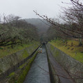 3352-3.jpg