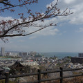 3357-1.jpg