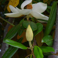 4168-2.jpg