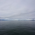 4178-1.jpg
