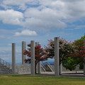 4229-2.jpg
