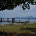 4233-3.jpg