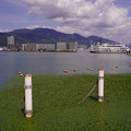 4234-1.jpg