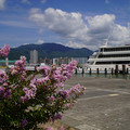 4234-3.jpg