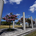 4237-2.jpg