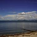 4238-2.jpg