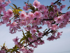 3月
