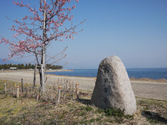 3月
