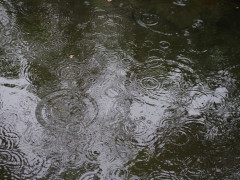 5月