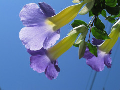 4月