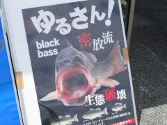 5月