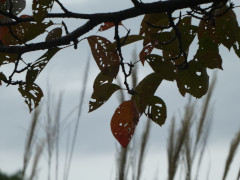10月