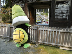 4月