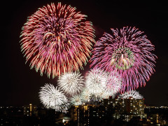 8月
