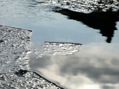 2月
