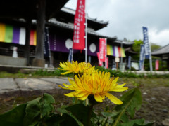 4月