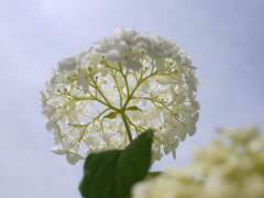 6月