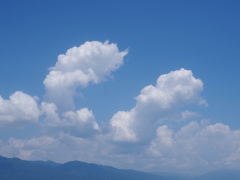 7月
